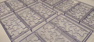 Moldes policarbonato tabletas chocolate