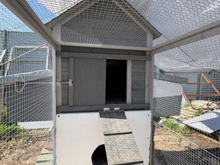 Gallinero metálico y de madera