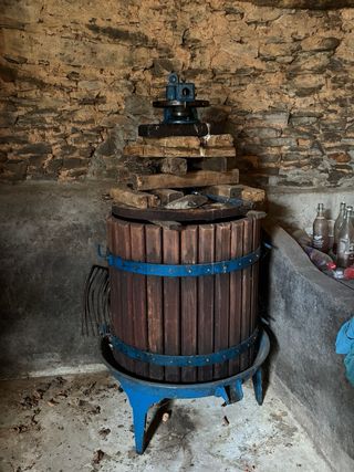 Despalilladora Inox 2.5CV con bomba+ Prensa