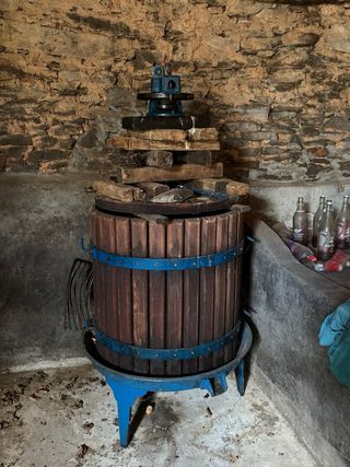 Despalilladora Inox 2.5CV con bomba+ Prensa