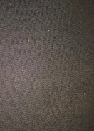 Polo Fruit of the Loom