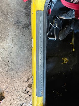 Embellecedores Puerta Cupra 6k