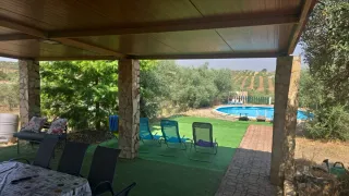 Tumbonas piscina y sillones azul/gris