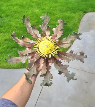 Eguzkilore Artesanía Vasca Metal Decorativo