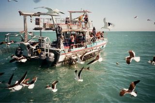 Minolta Riva 100AF cámara analógica compacta 35mm