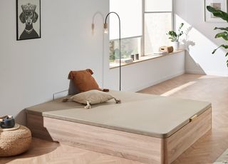 Canapés Canapés Canapés Canapés Canapés Canapés!!!