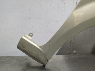 ALETA DELANTERA DERECHA FIAT GRANDE PUNTO (199) 1