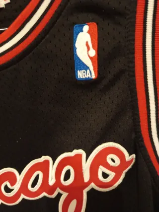 Camiseta Baloncesto Chicago Bulls Jordan 23 T-XL