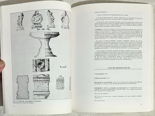 Arqueología. La Ciudad Hispanorromana de Complutum
