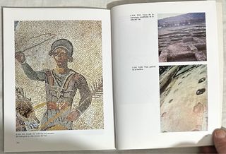 Arqueología. La Ciudad Hispanorromana de Complutum