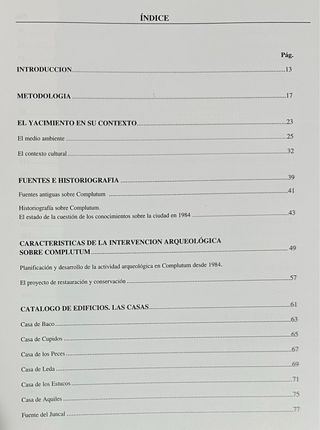 Arqueología. La Ciudad Hispanorromana de Complutum