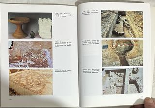 Arqueología. La Ciudad Hispanorromana de Complutum