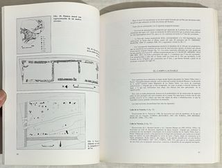Arqueología. La Ciudad Hispanorromana de Complutum