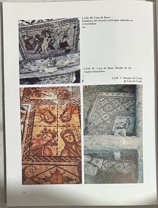 Arqueología. La Ciudad Hispanorromana de Complutum