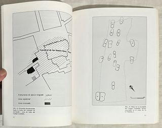 Arqueología. La Ciudad Hispanorromana de Complutum