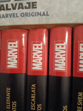 Comic Biblioteca La Espada Salvaje de Conan 1-14.