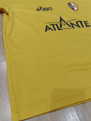 Camiseta Entrenamiento Asics Torino 2002