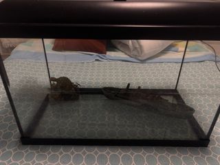 Pecera 65,5L con luces LED