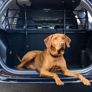 Barrera Perros Coche Sakura SS5260 Universal