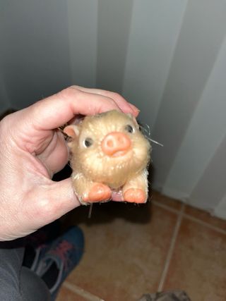 Cerdito de silicona con manchas en el lomo . Para