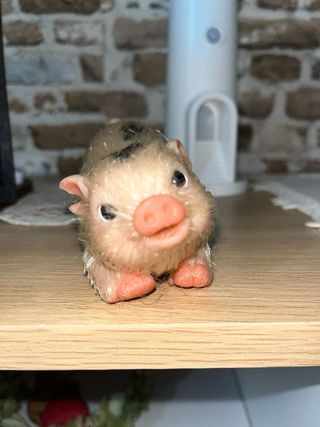 Cerdito de silicona con manchas en el lomo . Para