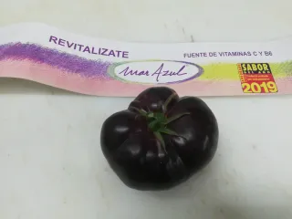 Semillas Tomate Mar Azul