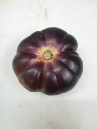 Semillas Tomate Mar Azul