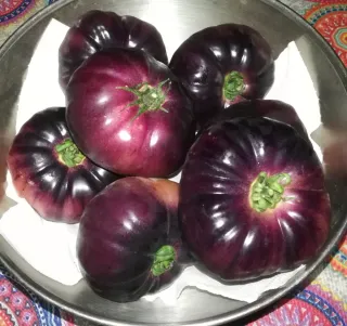 Semillas Tomate Mar Azul