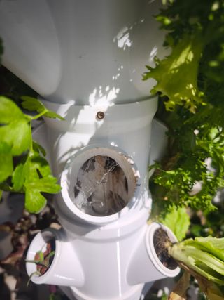 Torres hidropónicas