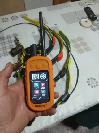 Localizador Garmin con 5 collares