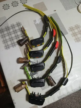 Localizador Garmin con 5 collares