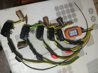 Localizador Garmin con 5 collares