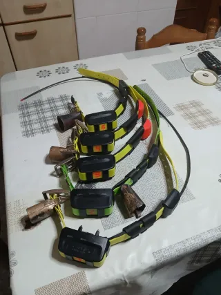 Localizador Garmin con 5 collares