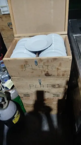 Platos llanos de loza 23 cm