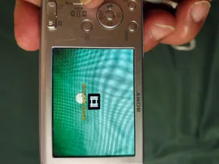 Sony Cyber-shot DSC-W510 Cámara Digital Plata