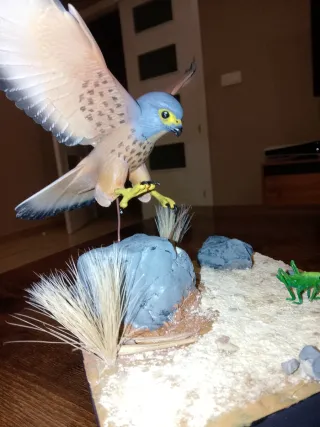 Diorama Cernícalo Primilla