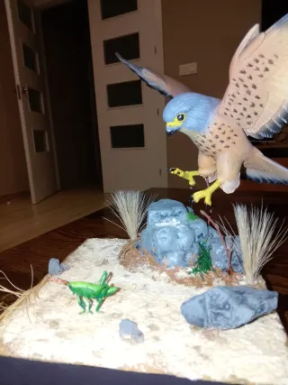 Diorama Cernícalo Primilla