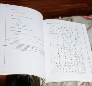 Corso di lingua giapponese (Vol. 1)