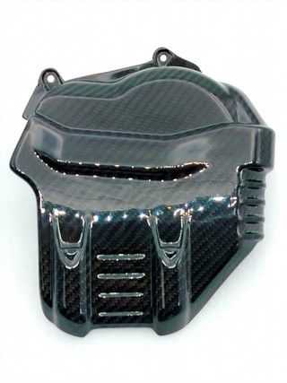 CARENADO FRONTAL CARBONO PANIGALE V4