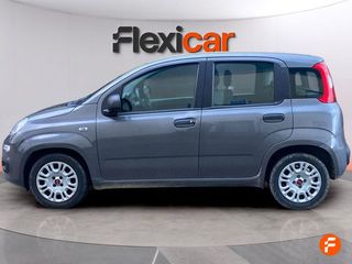 Fiat Panda 1.0 City Cross Hybrid Gse (70CV)