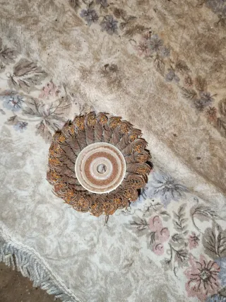 Cepillo Copa Alambre Trenzado