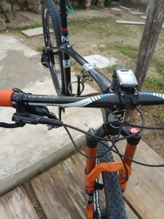 Bicicleta Focus Raven Carbono