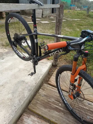 Bicicleta Focus Raven Carbono