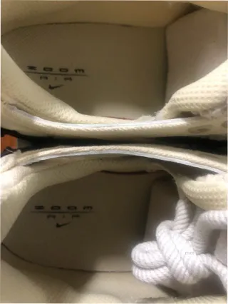 Stussy x Nike Air Zoom Spiridon Cage 40