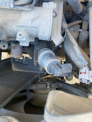 VALVULA EGR SEAT IBIZA (6L1) BBY