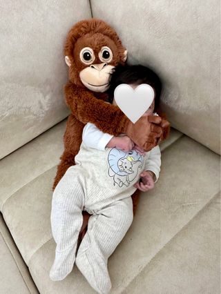 Punch Orangutan Ikea Djungelskog monkey