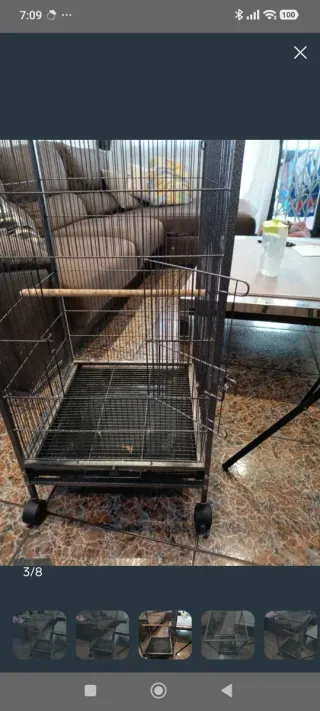 Jaula grande para pájaros