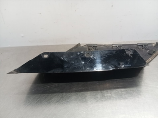 MOLDURA LAND ROVER RANGE ROVER EVOQUE 224DT BJ322