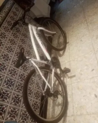 Bicicleta blanca