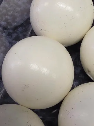 26 Bolas Pesadas Futbolín